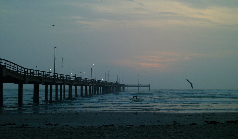 (11) Dscf8561.jpg   (1000x586)   79 Kb                                    Click to display next picture