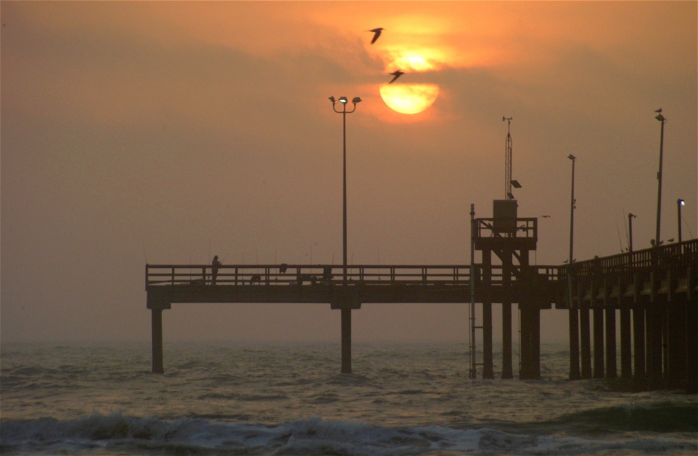 (26) Dscf8608.jpg   (1000x653)   195 Kb                                    Click to display next picture