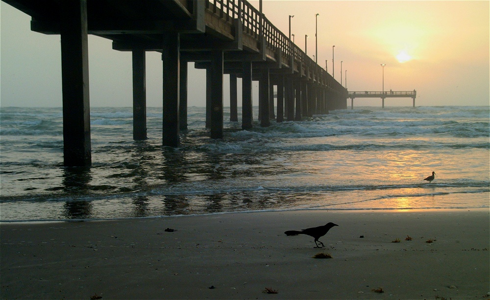 (30) Dscf8620.jpg   (1000x613)   236 Kb                                    Click to display next picture