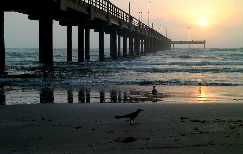 (31) Dscf8621.jpg   (1000x632)   258 Kb                                    Click to display next picture