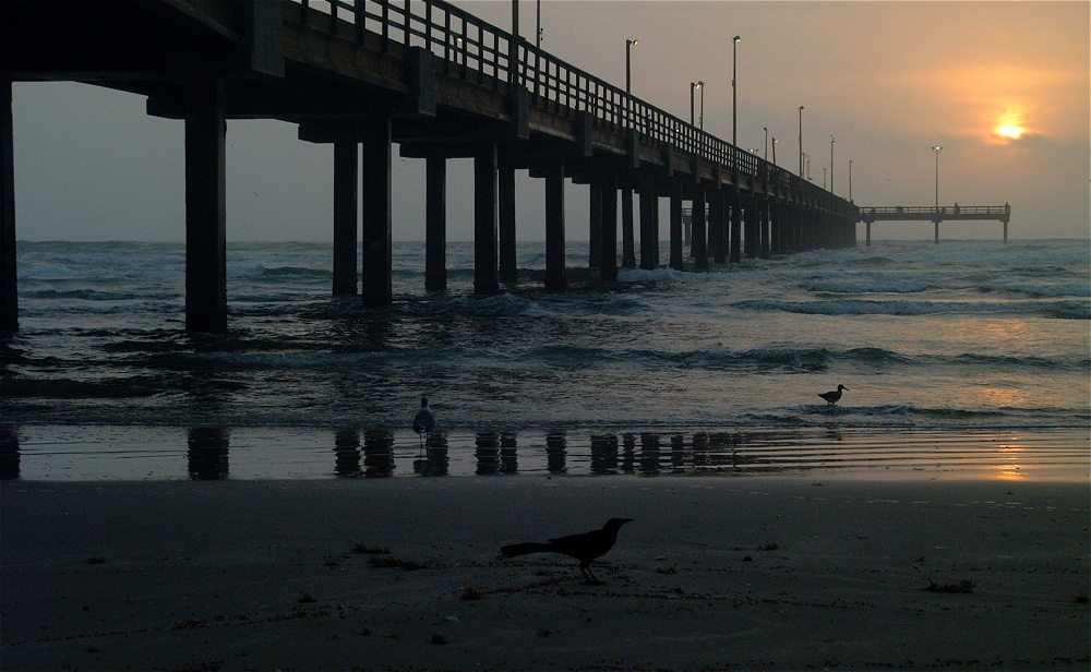 (32) Dscf8622.jpg   (1000x616)   237 Kb                                    Click to display next picture