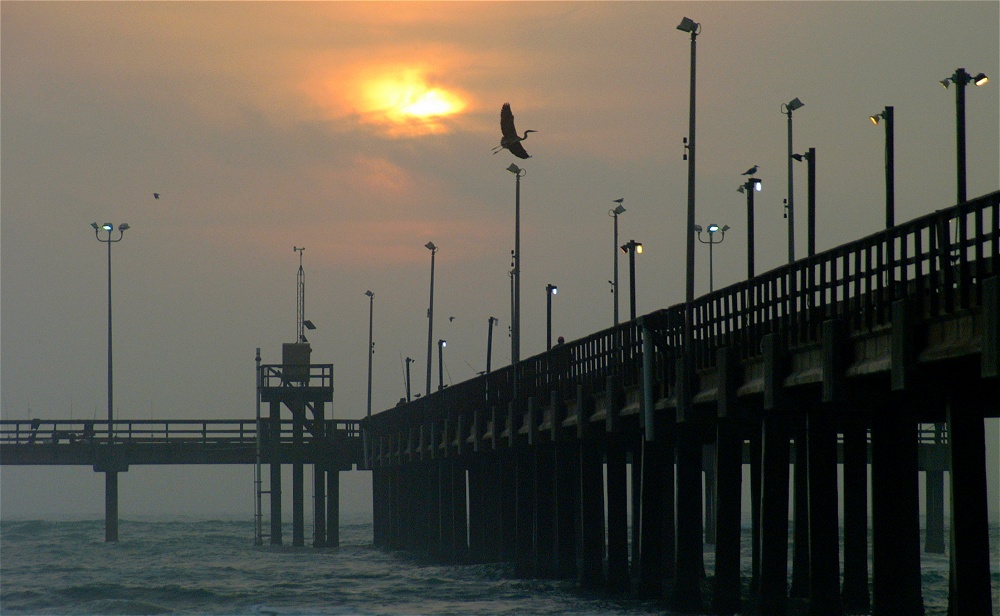 (34) Dscf8624.jpg   (1000x616)   190 Kb                                    Click to display next picture