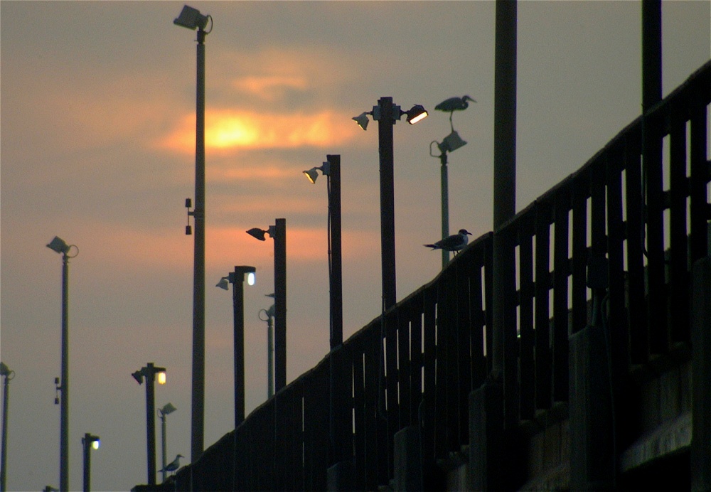 (37) Dscf8628.jpg   (1000x692)   198 Kb                                    Click to display next picture