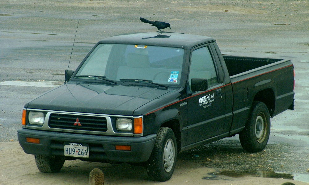 (18) Dscf0387.jpg   (1000x600)   293 Kb                                    Click to display next picture