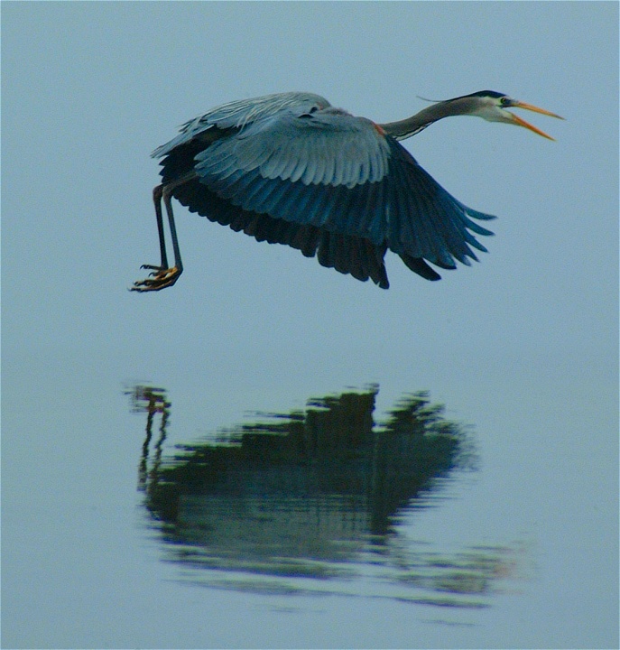 (03) Dscf0493.jpg   (687x720)   158 Kb                                    Click to display next picture