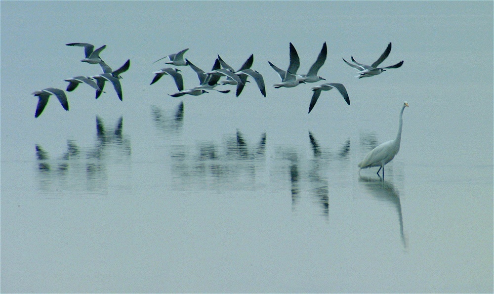 (06) Dscf0496.jpg   (1000x595)   201 Kb                                    Click to display next picture