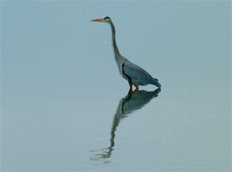 (11) Dscf0507.jpg   (950x704)   217 Kb                                    Click to display next picture