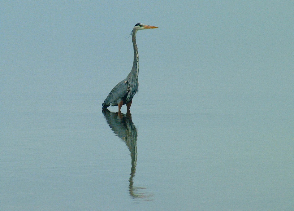 (12) Dscf0508.jpg   (950x681)   195 Kb                                    Click to display next picture