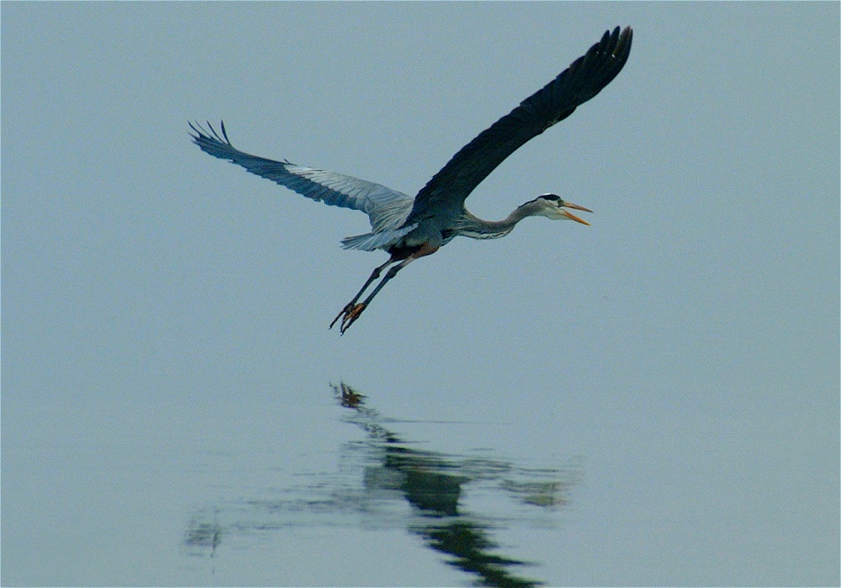 (14) Dscf0510.jpg   (950x664)   204 Kb                                    Click to display next picture