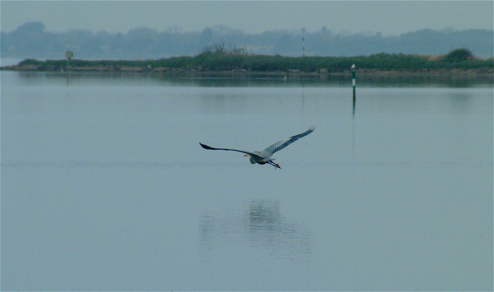 (15) Dscf0512.jpg   (1000x591)   161 Kb                                    Click to display next picture