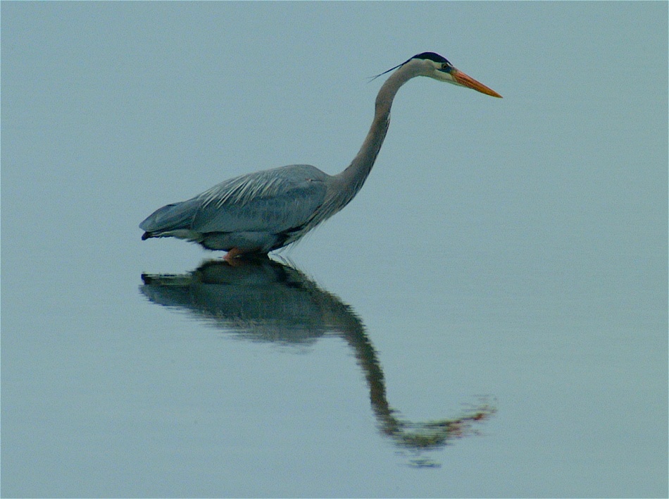 (18) Dscf0521.jpg   (950x708)   194 Kb                                    Click to display next picture