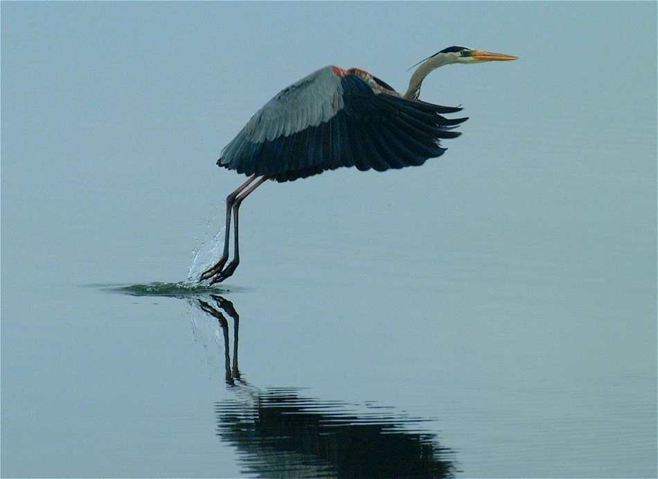 (20) Dscf0523.jpg   (950x691)   207 Kb                                    Click to display next picture