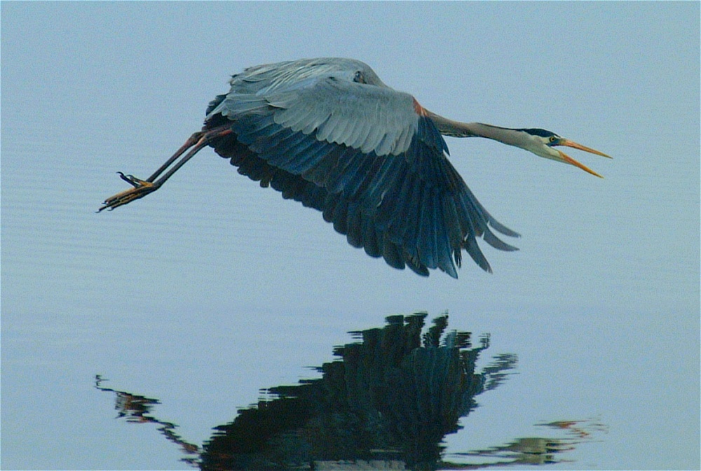 (21) Dscf0524.jpg   (1000x673)   227 Kb                                    Click to display next picture