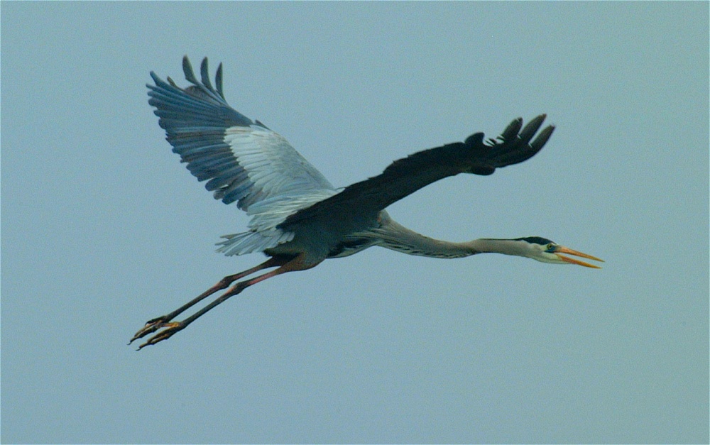 (22) Dscf0525.jpg   (1000x627)   195 Kb                                    Click to display next picture