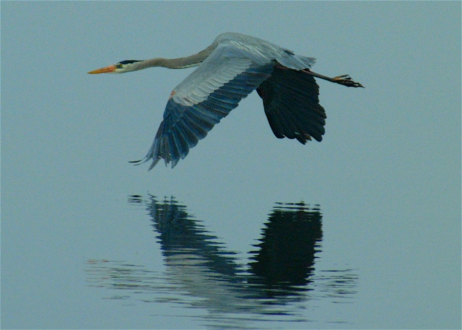 (23) Dscf0529.jpg   (900x644)   185 Kb                                    Click to display next picture