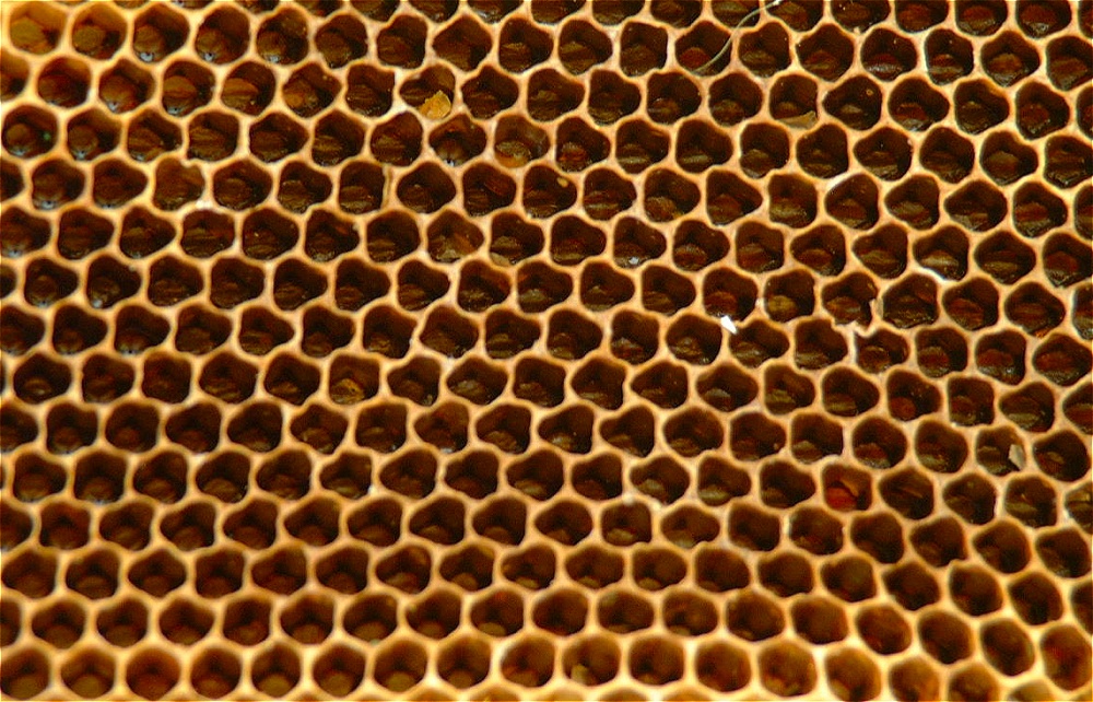 (32) Dscf0554.jpg   (1000x642)   329 Kb                                    Click to display next picture