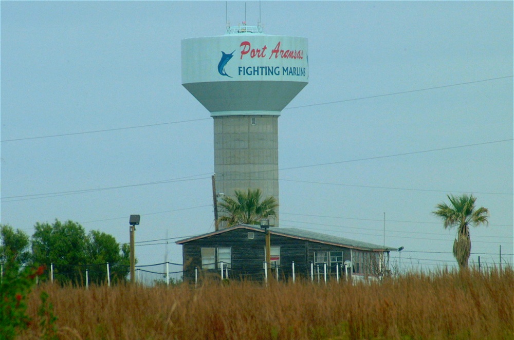 (33) Dscf0560.jpg   (1000x662)   191 Kb                                    Click to display next picture