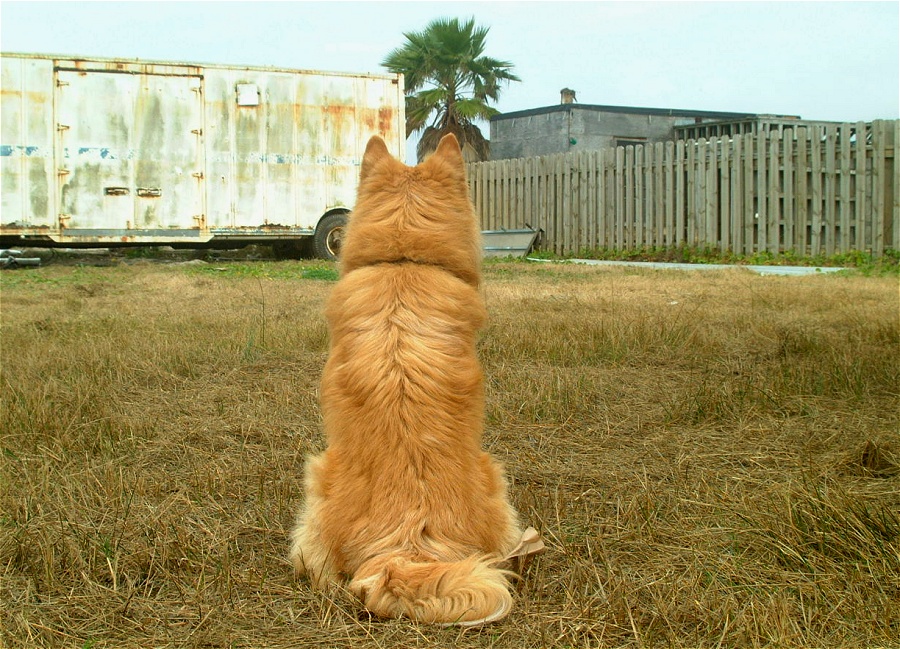 (34) Dscf0569.jpg   (900x649)   320 Kb                                    Click to display next picture