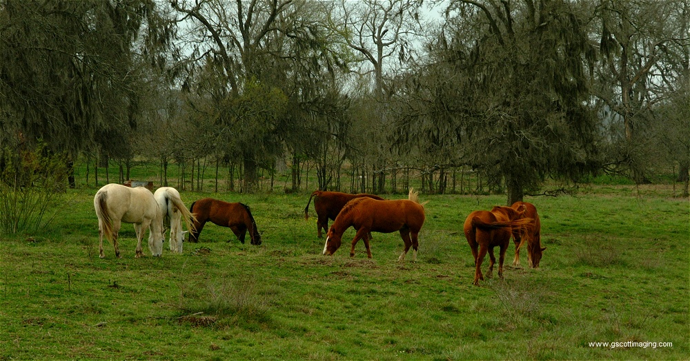 (01) Dscf0001.jpg   (1000x524)   319 Kb                                    Click to display next picture