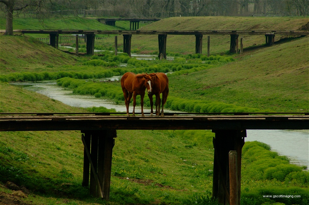 (10) Dscf0027.jpg   (1000x664)   325 Kb                                    Click to display next picture