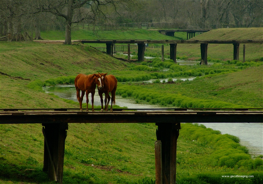 (14) Dscf0035.jpg   (1000x701)   361 Kb                                    Click to display next picture