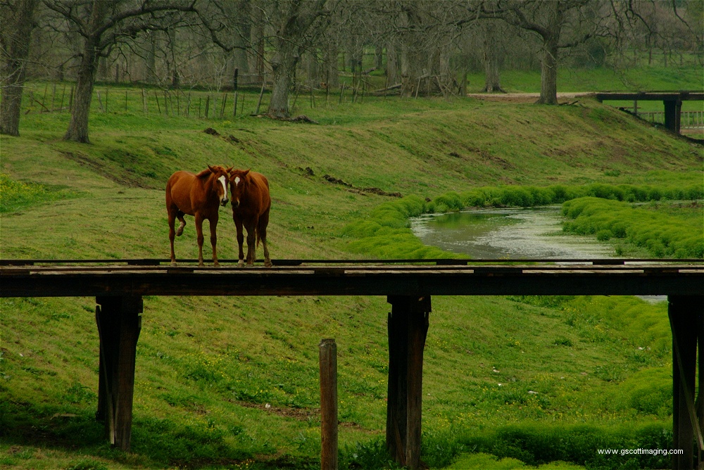 (16) Dscf0038.jpg   (1000x668)   344 Kb                                    Click to display next picture