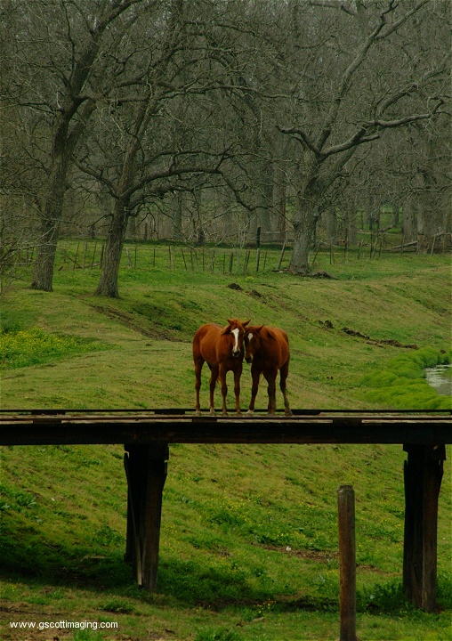 (19) Dscf0041.jpg   (508x720)   206 Kb                                    Click to display next picture