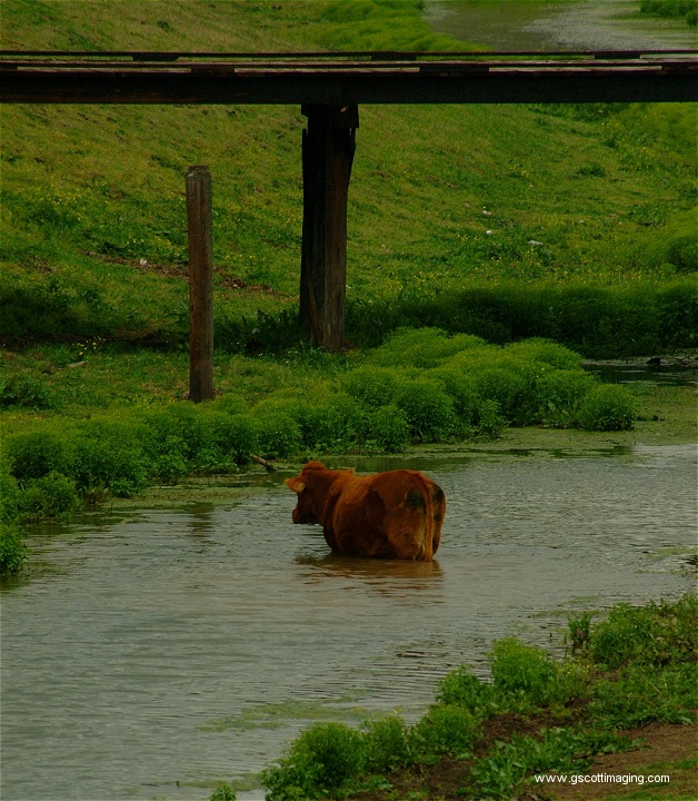 (30) Dscf0084.jpg   (628x720)   232 Kb                                    Click to display next picture