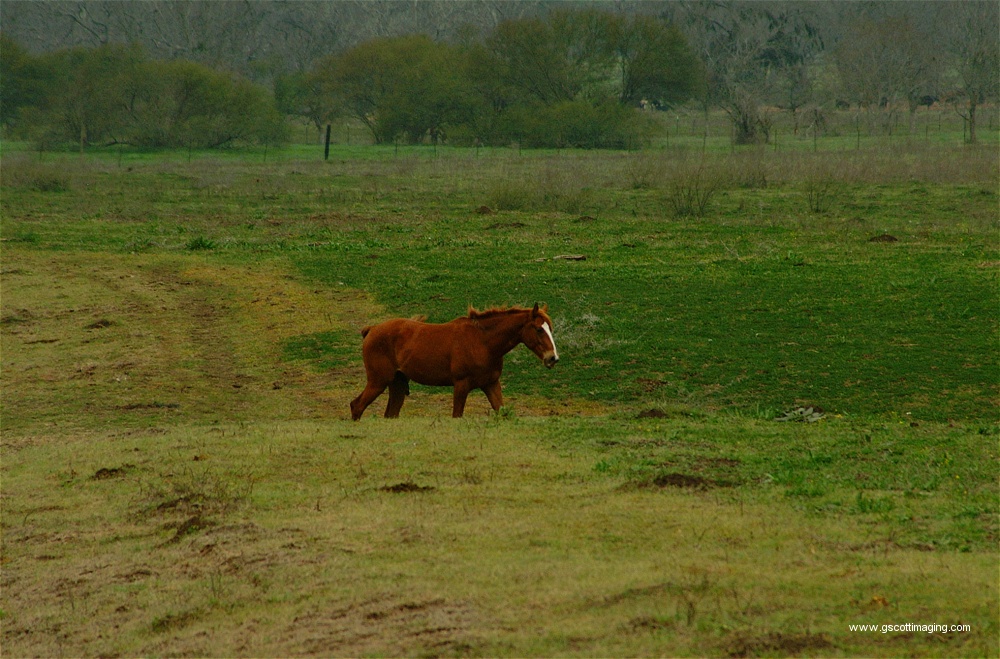 (38) Dscf0079.jpg   (1000x659)   300 Kb                                    Click to display next picture