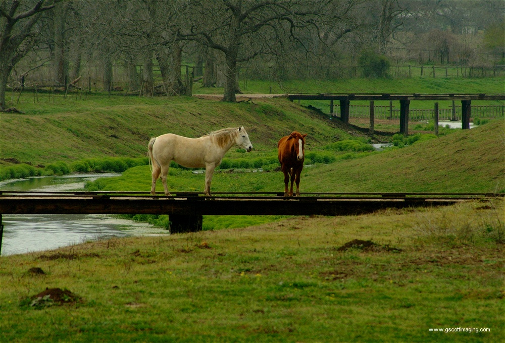 (44) Dscf0011.jpg   (1000x680)   329 Kb                                    Click to display next picture