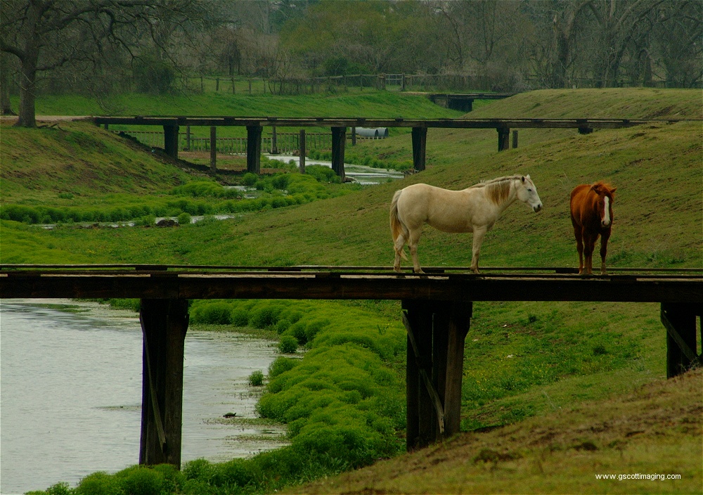 (45) Dscf0013.jpg   (1000x704)   345 Kb                                    Click to display next picture