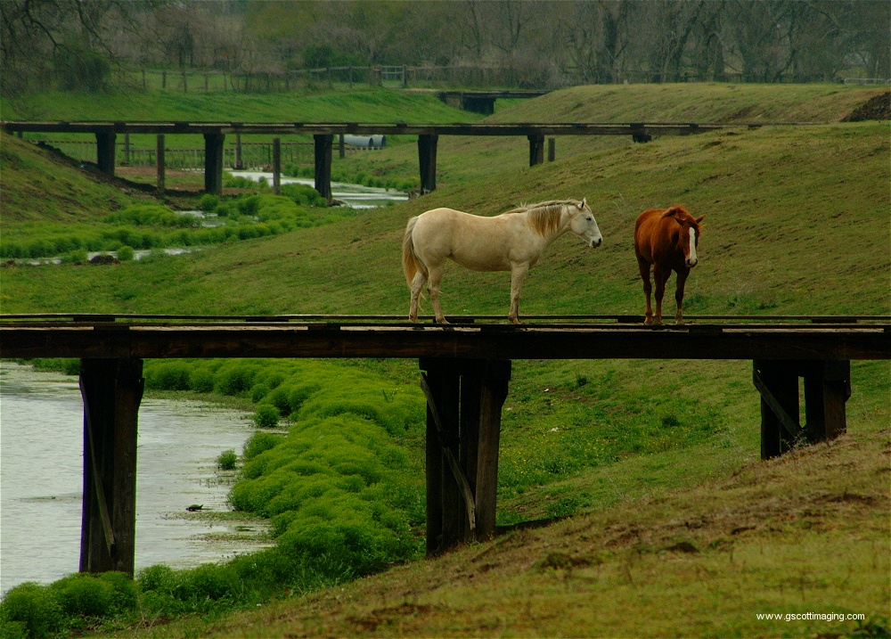 (46) Dscf0015.jpg   (1000x717)   349 Kb                                    Click to display next picture