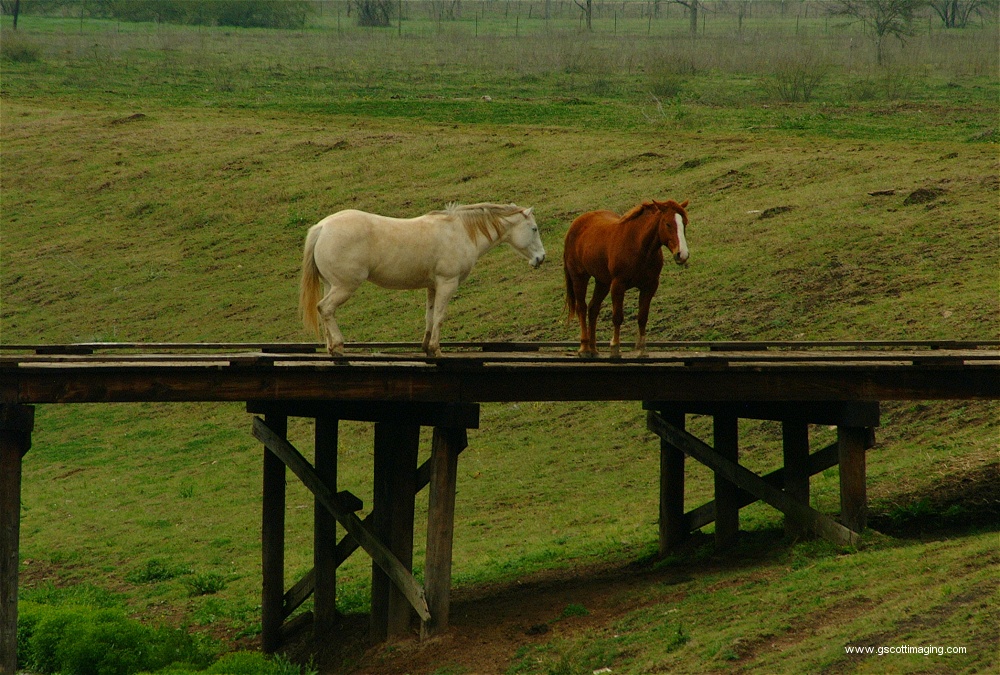 (48) Dscf0026.jpg   (1000x675)   350 Kb                                    Click to display next picture