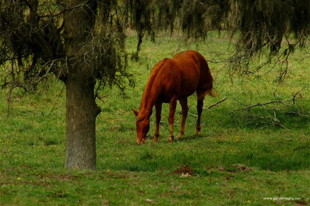 (59) Dscf0049.jpg   (1000x664)   372 Kb                                    Click to display next picture