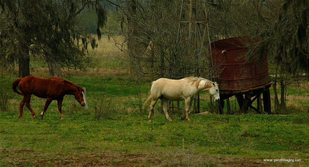 (62) Dscf0070.jpg   (1000x540)   323 Kb                                    Click to display next picture