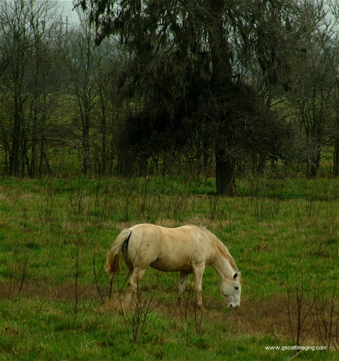 (63) Dscf0085.jpg   (676x720)   269 Kb                                    Click to display next picture