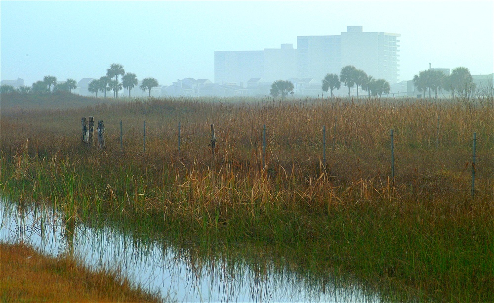 (05) Dscf0270 (mustang island morning).jpg   (1000x613)   300 Kb                                    Click to display next picture
