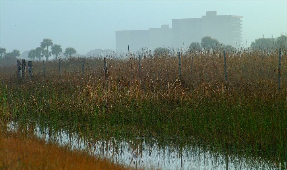 (06) Dscf0271 (mustang island morning).jpg   (1000x592)   288 Kb                                    Click to display next picture