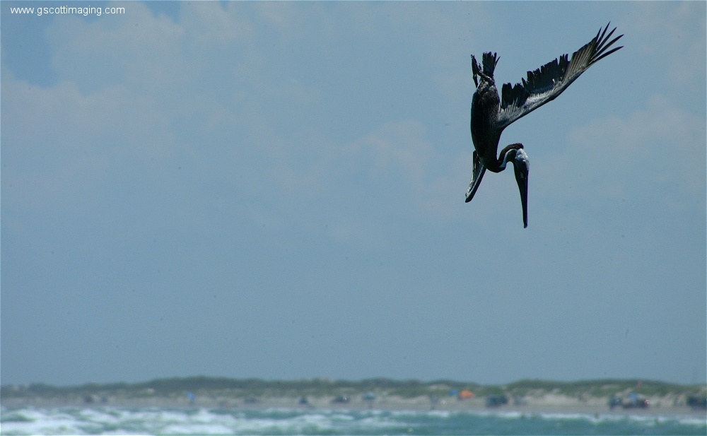 (10) 1dscf0139.jpg   (1000x617)   132 Kb                                    Click to display next picture