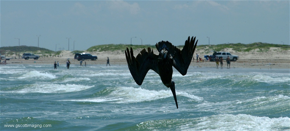 (11) 1dscf0152.jpg   (1000x453)   157 Kb                                    Click to display next picture