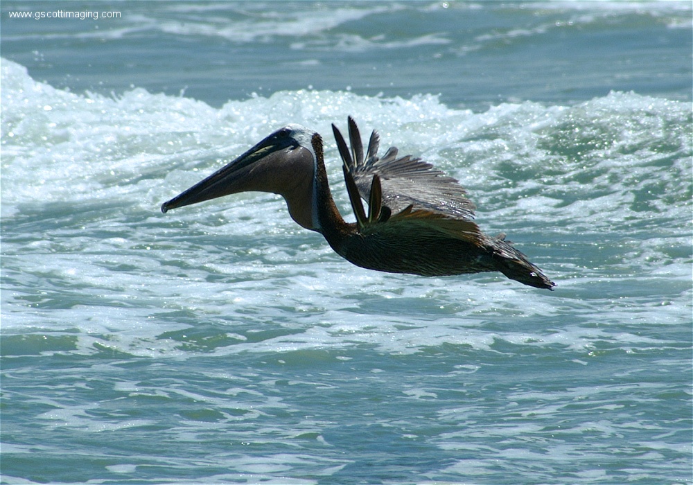 (21) 1dscf0160.jpg   (1000x700)   290 Kb                                    Click to display next picture