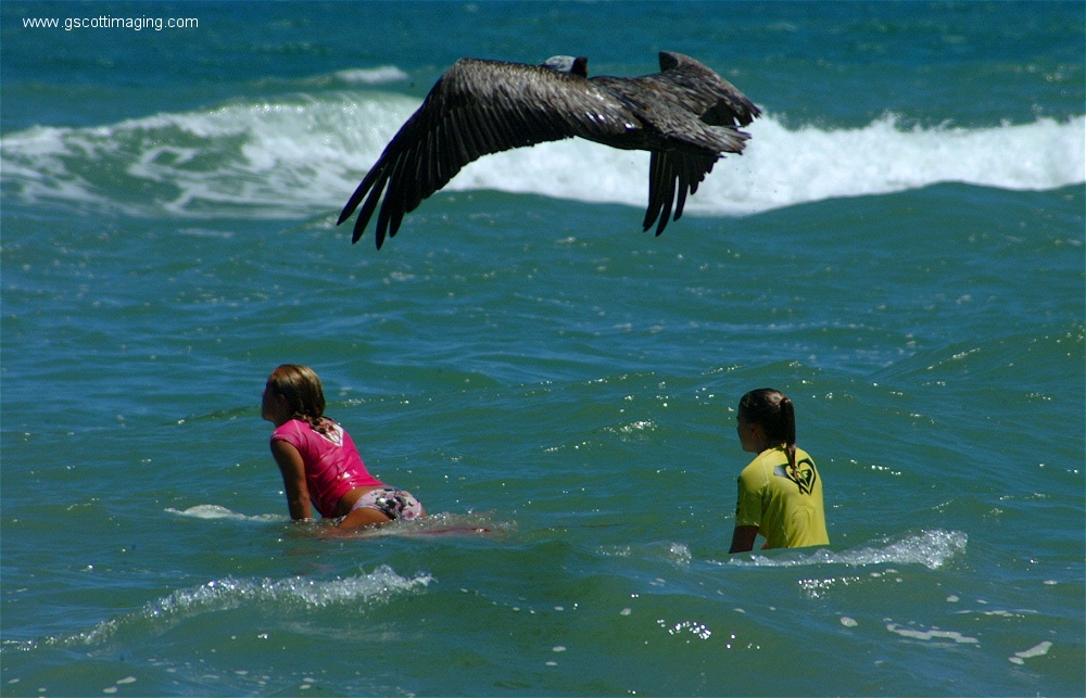 (24) 1dscf0166.jpg   (1000x643)   232 Kb                                    Click to display next picture