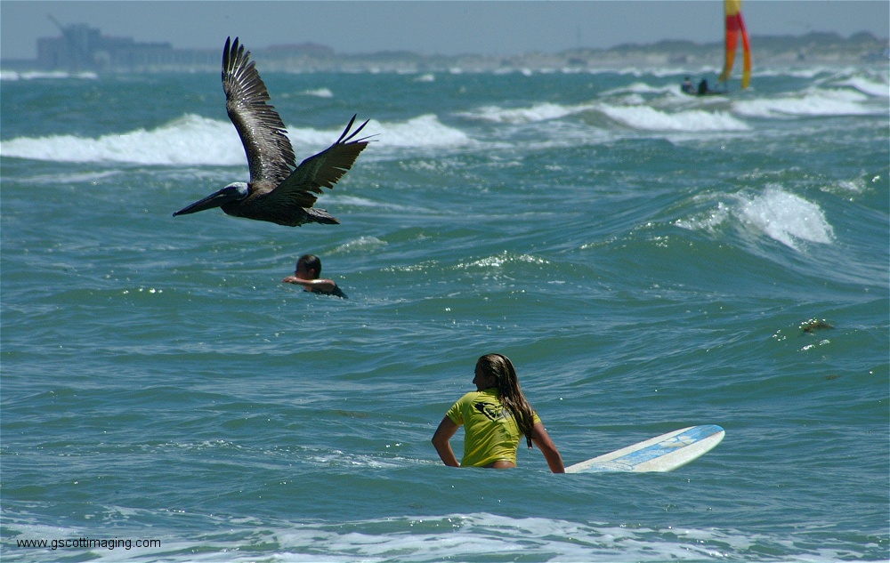 (25) 1dscf0196.jpg   (1000x633)   246 Kb                                    Click to display next picture