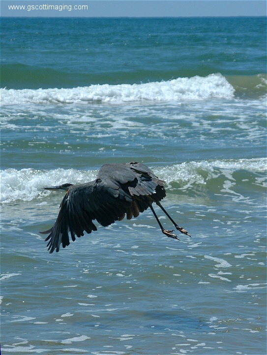 (26) 3dscf0242.jpg   (543x720)   165 Kb                                    Click to display next picture