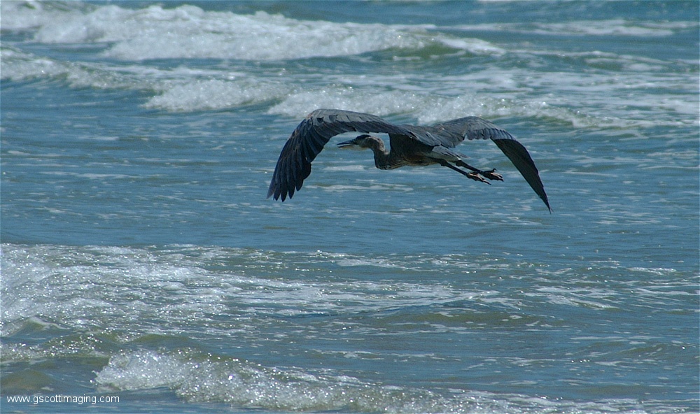 (28) 3dscf0245.jpg   (1000x592)   251 Kb                                    Click to display next picture