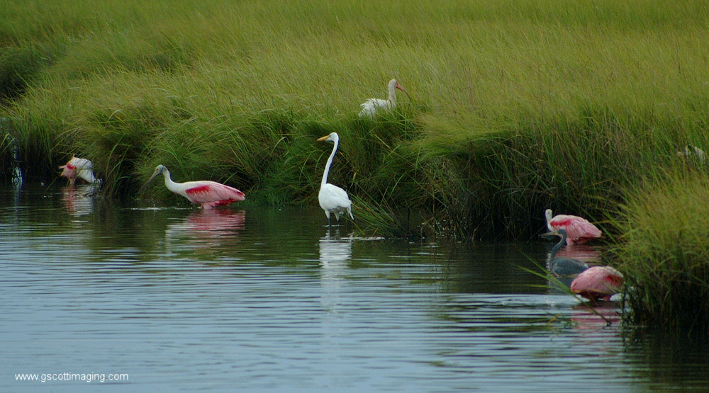 (01) Dscf7670.jpg   (1000x555)   309 Kb                                    Click to display next picture