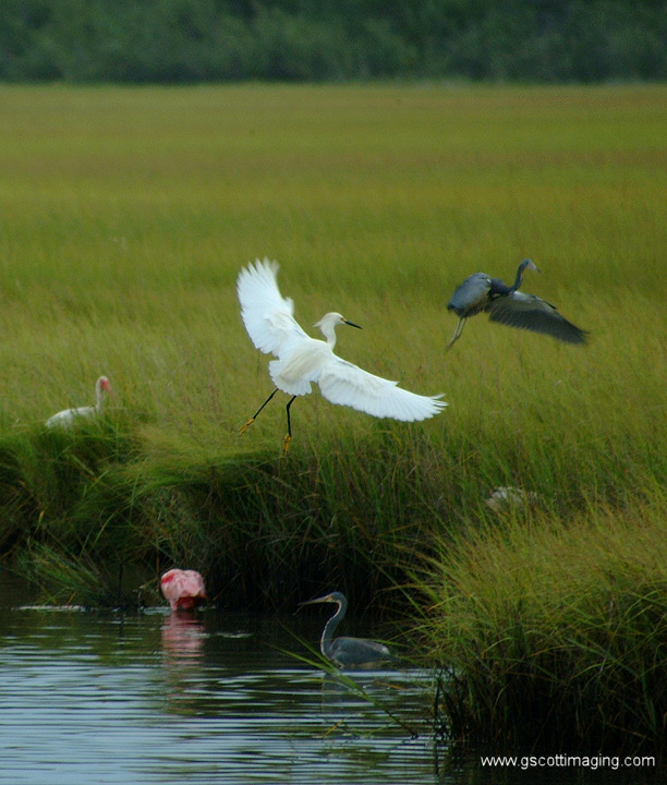 (02) Dscf7674.jpg   (612x720)   211 Kb                                    Click to display next picture