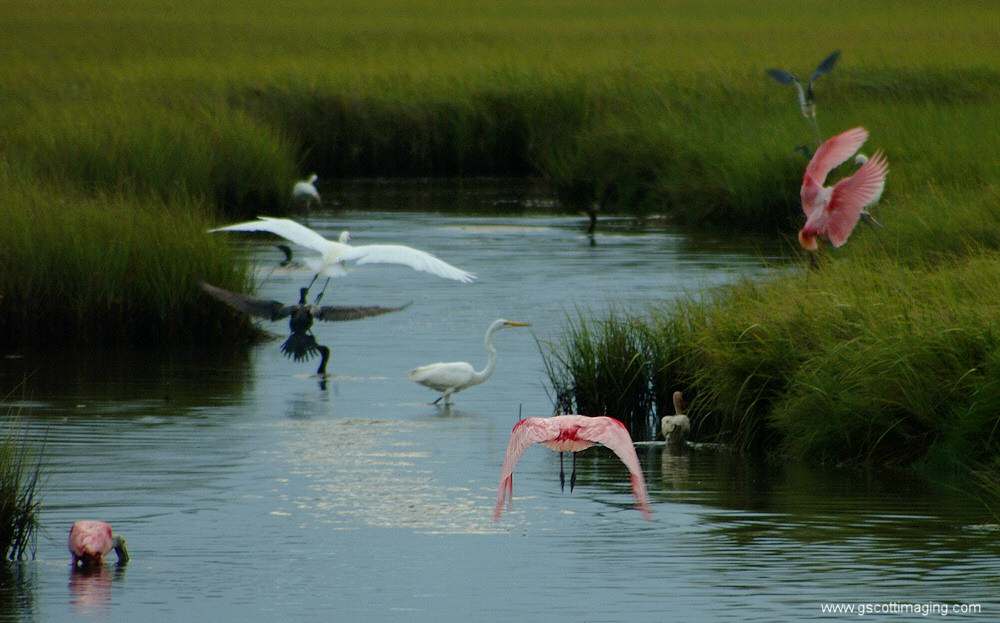 (10) Dscf7697.jpg   (1000x623)   291 Kb                                    Click to display next picture