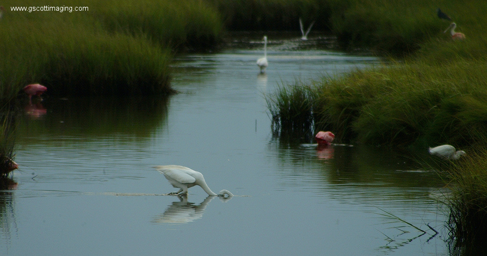 (15) Dscf7703.jpg   (1000x526)   258 Kb                                    Click to display next picture