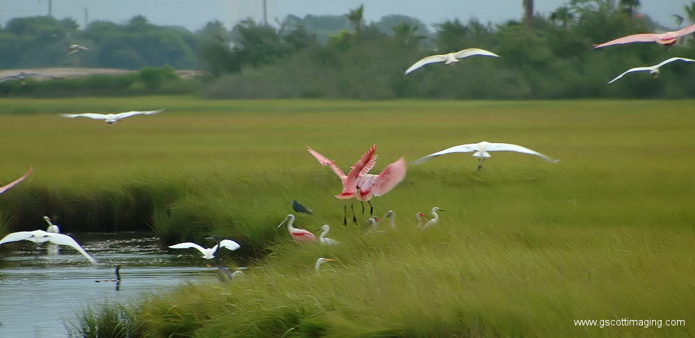 (19) Dscf7709.jpg   (1000x487)   194 Kb                                    Click to display next picture